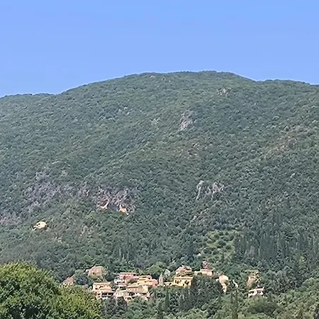 Alexandros And Georgia Ipsos